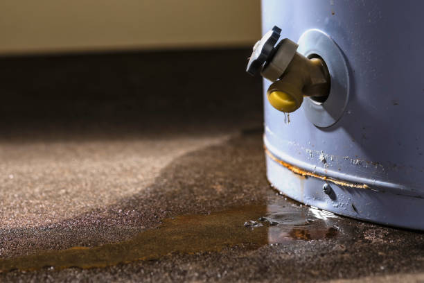 Best Ceiling water damage repair  in Lima, OH