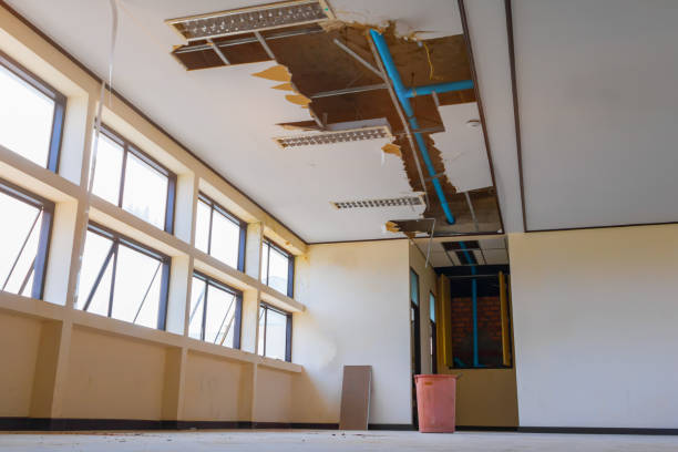  Lima, OH Water damage restoration Pros
