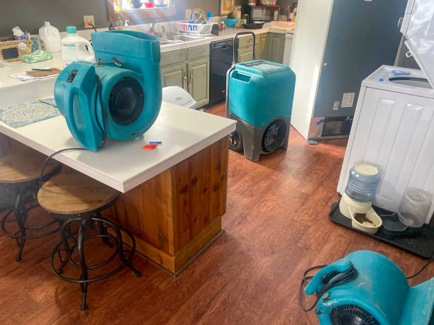 Best Sewage cleanup and water damage restoration  in Lima, OH