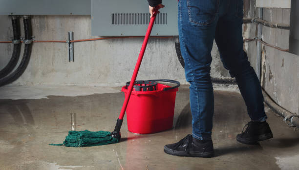 Best Flooded house restoration  in Lima, OH