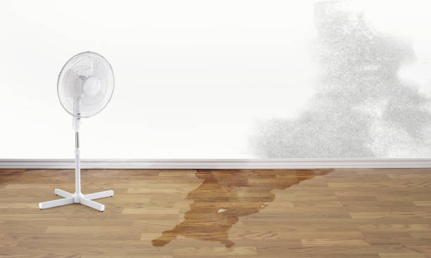Best Fire Damage Restoration  in Lima, OH