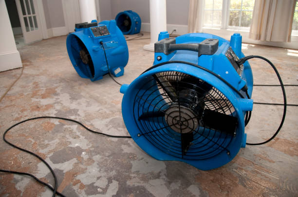 Best 24-hour water damage restoration  in Lima, OH