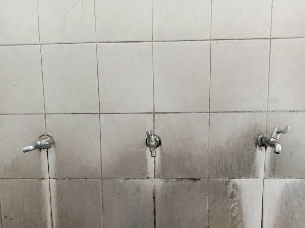 Best Water damage restoration near me  in Lima, OH