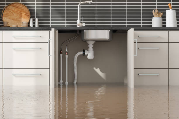 Best Local water damage restoration  in Lima, OH