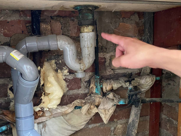 Best Water damage contractors near me  in Lima, OH