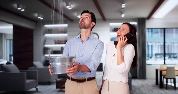 Best Water damage restoration insurance claims  in Lima, OH
