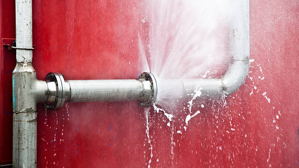 Best Professional water damage repair  in Lima, OH