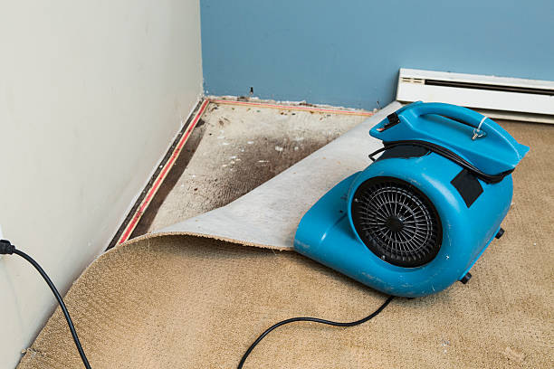 Water damage restoration mold remediation in OH